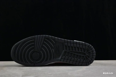 1 Jordan 553558-132 Low SE Air 0713